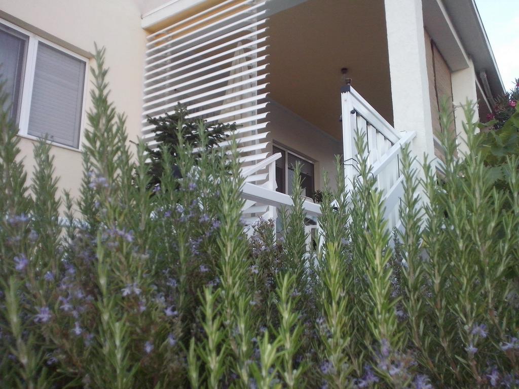 Kuca Za Odmor Laura Appartement Ražanac Buitenkant foto