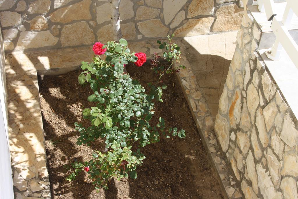 Kuca Za Odmor Laura Appartement Ražanac Buitenkant foto
